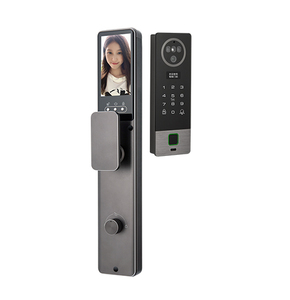 DQZ011Pro